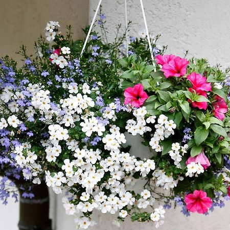 Haus Doerflinger Frau Marianne Apartman Schluchsee Kültér fotó