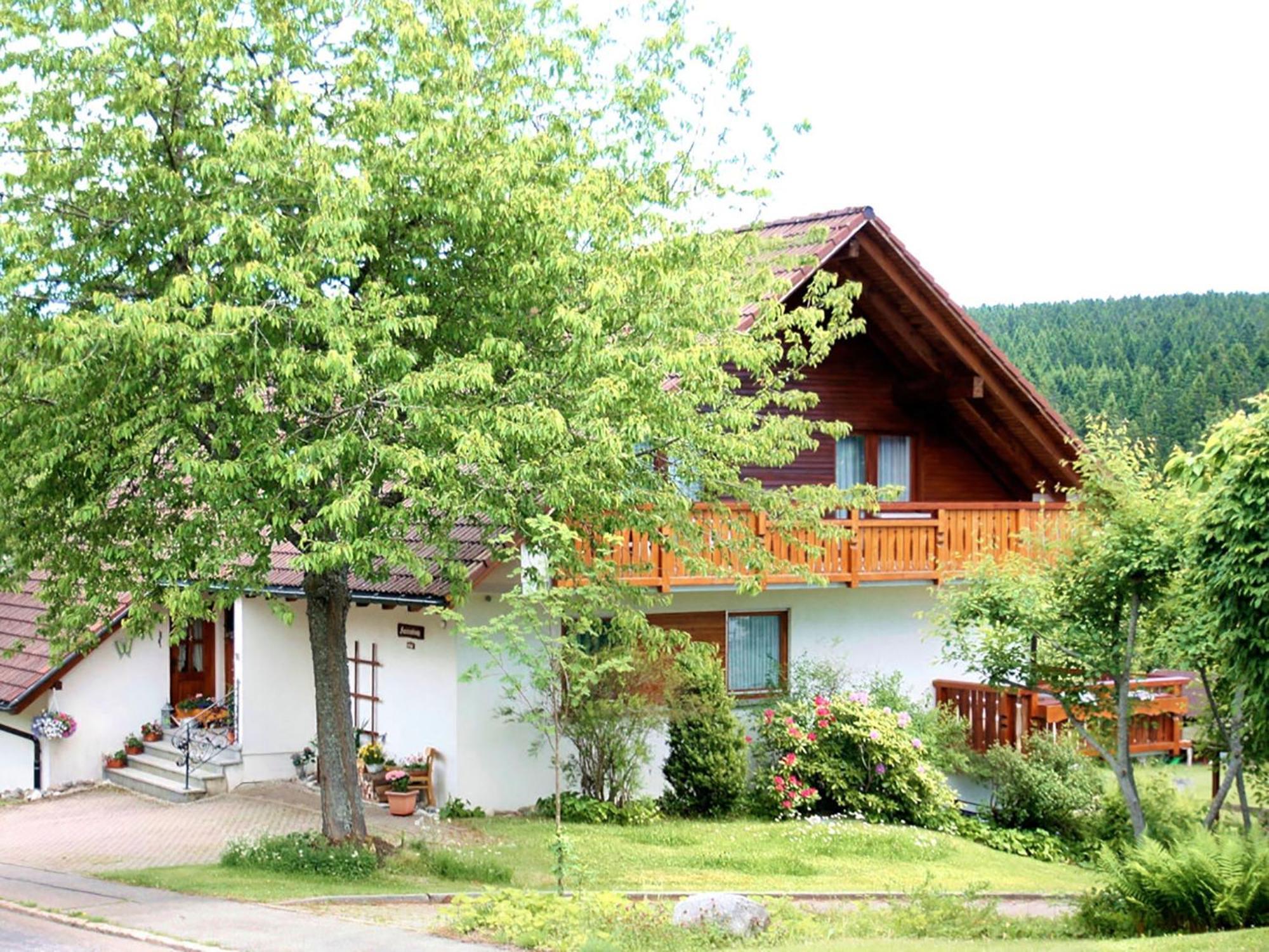 Haus Doerflinger Frau Marianne Apartman Schluchsee Kültér fotó